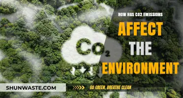 CO2 Emissions' Devastating Impact on Our Environment: A Comprehensive Analysis