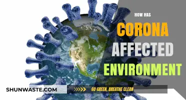 Corona's Impact: Unveiling the Pandemic's Surprising Environmental Transformations