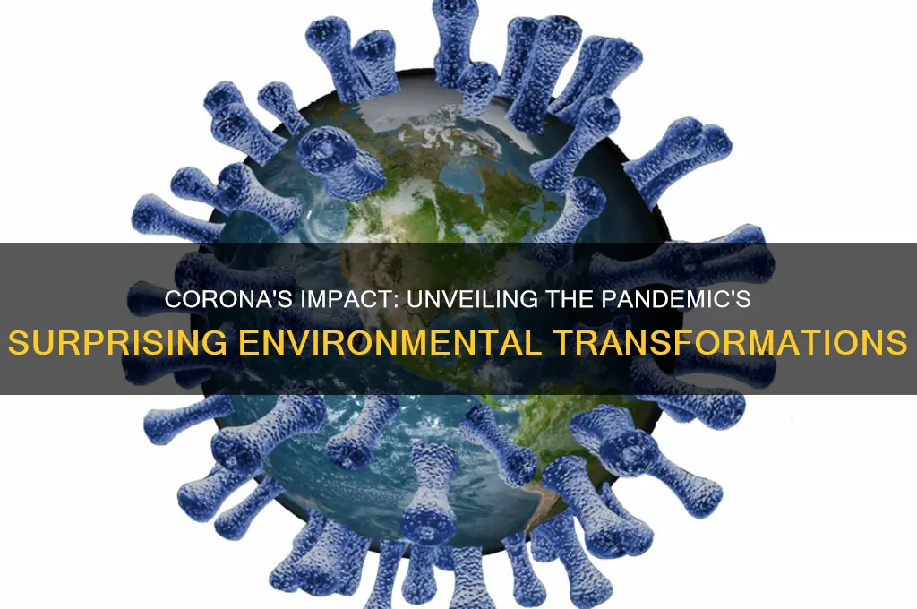 how has corona affected environment