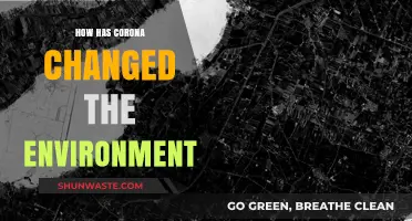 Corona's Impact: Unveiling Environmental Changes and Global Shifts Post-Pandemic