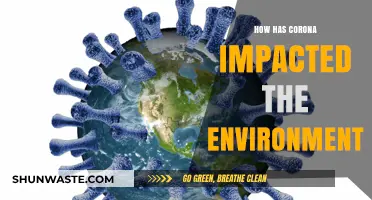 Corona's Environmental Paradox: Pollution Drops, Nature Rebounds, and Lessons Learned