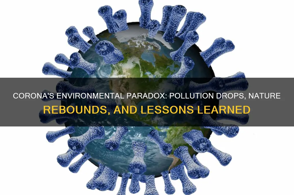 how has corona impacted the environment