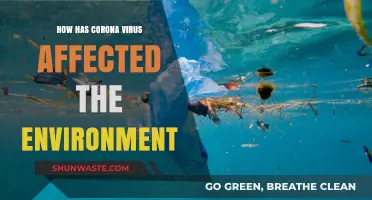 COVID-19's Environmental Impact: Positive Changes and Long-Term Challenges
