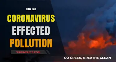 Pandemic Impact: Pollution and Air Quality
