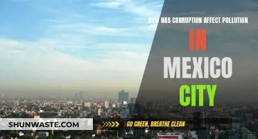 Mexico City's Pollution Crisis: Corruption's Deadly Impact