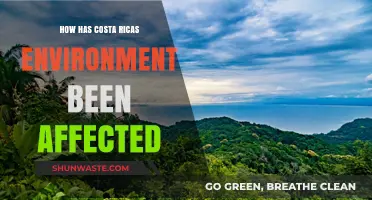 Costa Rica's Environmental Impact: Challenges and Conservation Efforts Explored