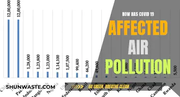 Air Pollution and COVID-19: Impact and Insights