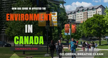 COVID-19's Environmental Impact: Canada's Ecosystem Changes and Recovery Efforts