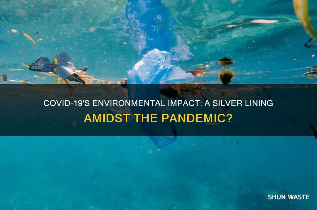 how has covid 19 affected the environment