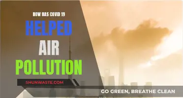 Lockdowns Reduce Air Pollution: Covid-19's Silver Lining
