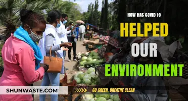 COVID-19's Unexpected Silver Lining: Environmental Benefits Amidst the Pandemic