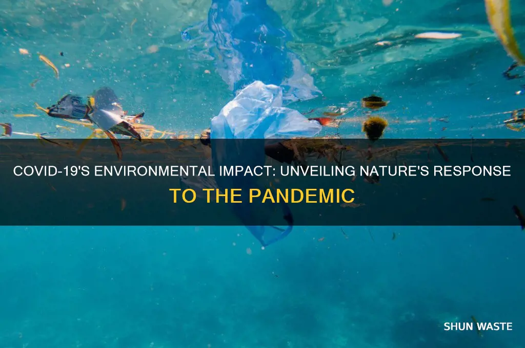 how has covid 19 impacted the environment