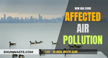 Air Pollution: Covid's Impact on Our Atmosphere
