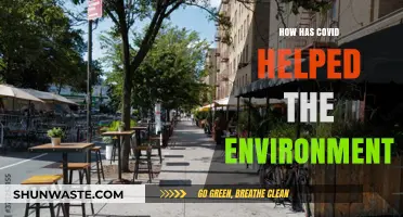 COVID's Unexpected Silver Lining: Environmental Benefits Amid Global Pandemic