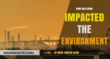 COVID's Environmental Paradox: Pollution Drops, Wildlife Roams, and Lessons Learned