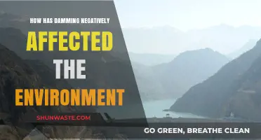 Damming's Dark Side: Environmental Consequences of River Barriers