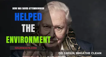 David Attenborough's Impact: Inspiring Global Environmental Conservation Efforts