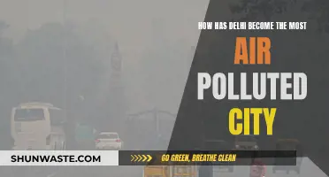 Delhi's Air Pollution: A Deadly Crisis