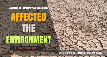 Desertification's Devastating Impact: Environmental Degradation and Ecosystem Collapse Explained