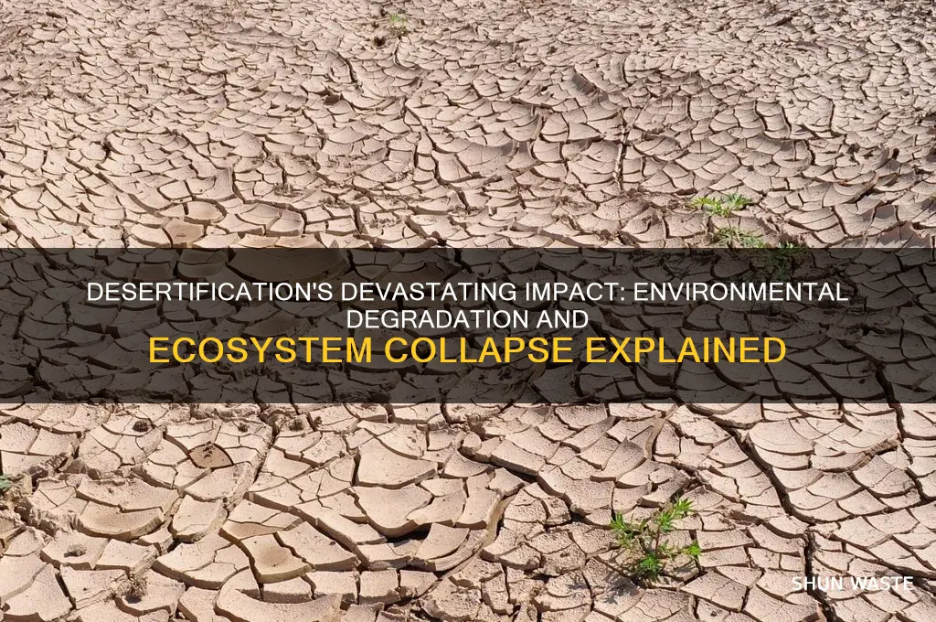 how has desertification negatively affected the environment