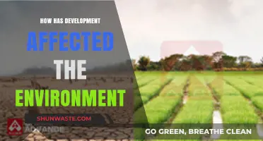 Development's Impact: Environmental Consequences and Sustainable Solutions Explored