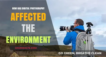 Digital Photography's Environmental Impact: A Sustainable Shift or Ecological Strain?