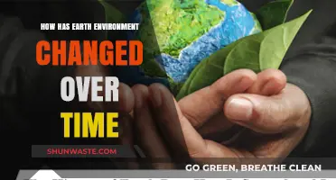 Earth's Environmental Evolution: A Journey Through Time and Transformation