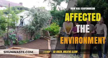 Ecofeminism's Impact: Transforming Environmental Movements and Sustainability Practices