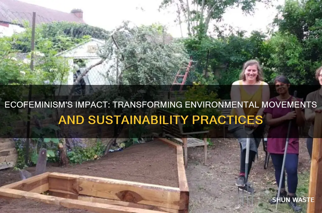how has ecofeminism affected the environment