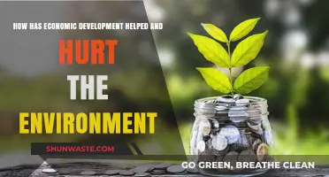 Economic Growth's Dual Impact: Environmental Progress and Ecological Challenges
