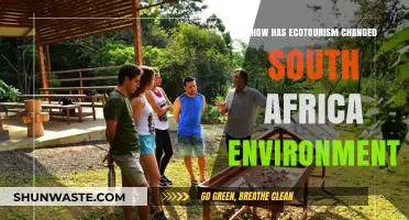 Ecotourism's Impact: Transforming South Africa's Environment and Conservation Efforts