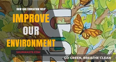 Education's Green Impact: Empowering Minds to Transform Our Environment