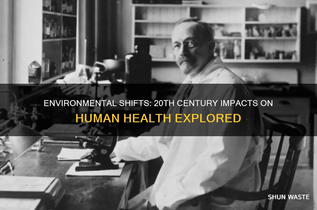how has environment affected human health in the 20th century