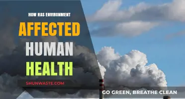 Environmental Impacts on Human Health: Understanding the Critical Connections