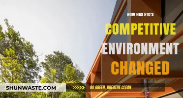 Eto's Evolving Competitive Landscape: Shifts, Challenges, and Opportunities