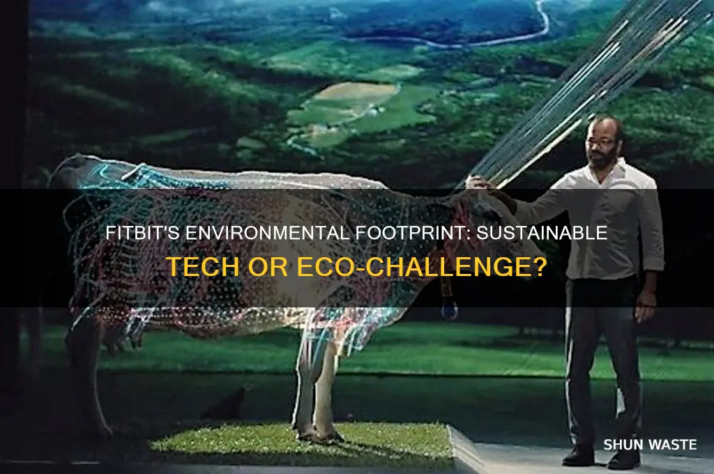 how has fitbit impacted the environment