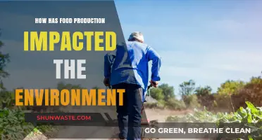 Food Production's Environmental Impact: Challenges and Sustainable Solutions