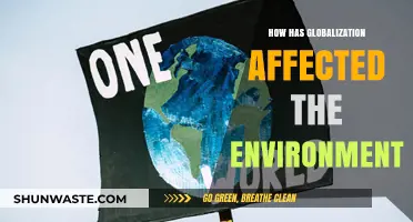 Globalization's Environmental Impact: Challenges, Changes, and Sustainable Solutions