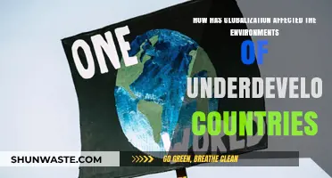 Globalization's Impact: Environmental Challenges in Underdeveloped Nations