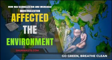 Globalization, Industrialization, and the Environment: Impacts and Challenges