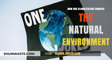 Globalization's Impact: Transforming the Natural Environment and Ecosystems