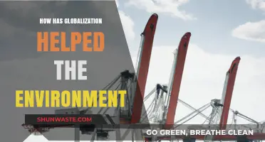 Globalization's Green Impact: Uniting Nations for Environmental Progress