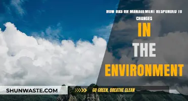 Adapting HR Strategies: Navigating Environmental Shifts in the Workplace