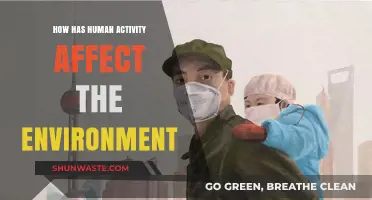 Human Impact: Unraveling Our Actions on the Environment's Health