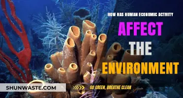 Human Economic Activity: Environmental Impacts and Sustainable Solutions