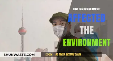 Human Impact on the Environment: Consequences and Urgent Solutions