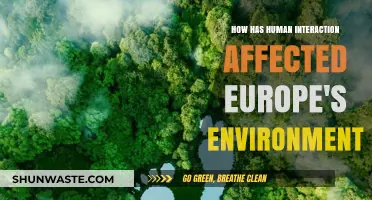 Human Impact on Europe's Environment: Challenges and Consequences