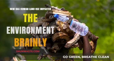 Human Land Use: Environmental Impacts and Consequences Explained