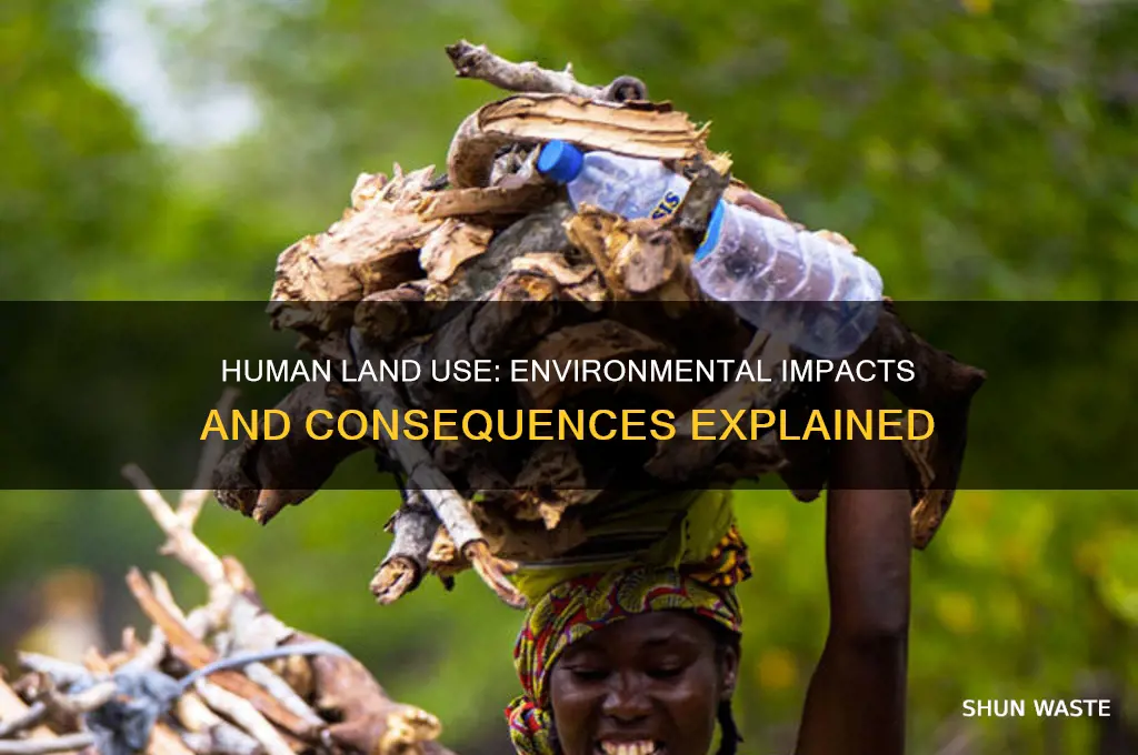 how has human land use impacted the environment brainly