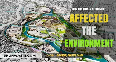 Human Settlements' Environmental Impact: Shaping Ecosystems and Climate Change